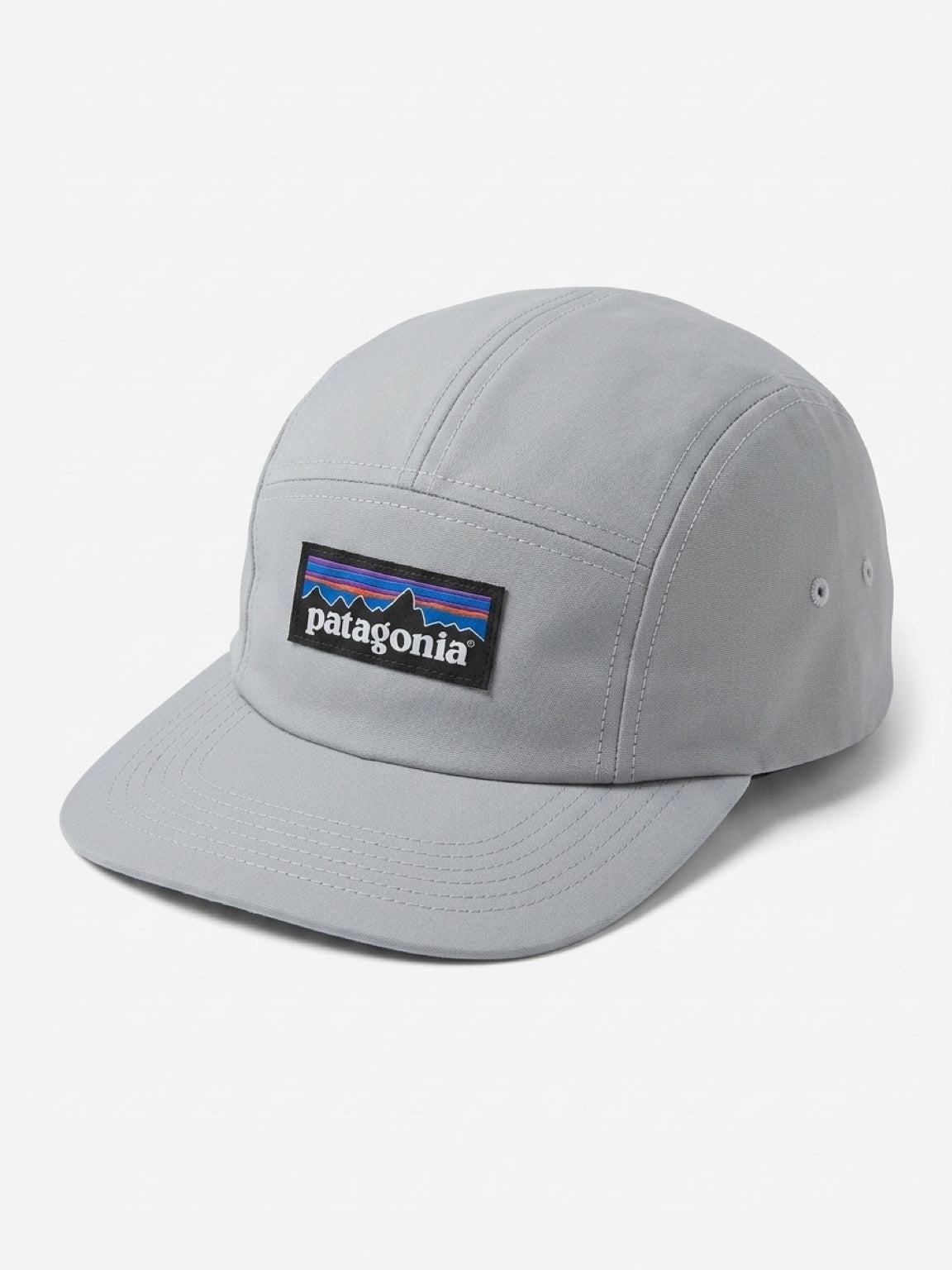 Patagonia Cap